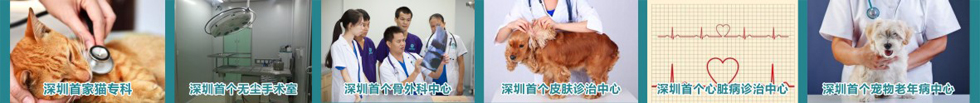 深圳市联合宠物医院