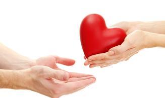 世界那么大，她只想要个家