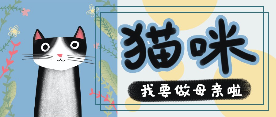 猫：我要成为一位“准妈妈”啦！